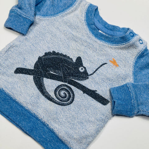 Seed Chameleon Jumper